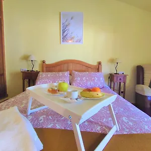 https://pinar-de-amurjo.es-andalucia.com